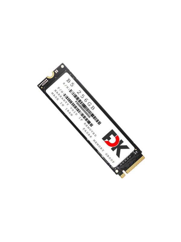 حافظه ssd اینترنال فدک M.2 مدل B5 ظرفیت 256 گیگابایت - Image 2